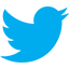 Twitter SMS Onay